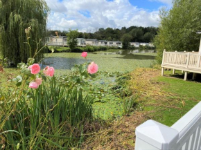 Lilly Pad